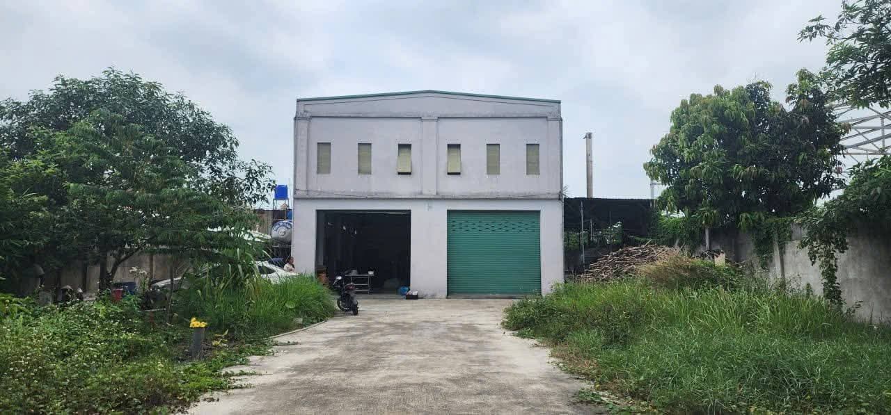 Bán kho, nhà xưởng Đ. Quách Điêu, Q. Tân Bình, Tp. Hồ Chí Minh