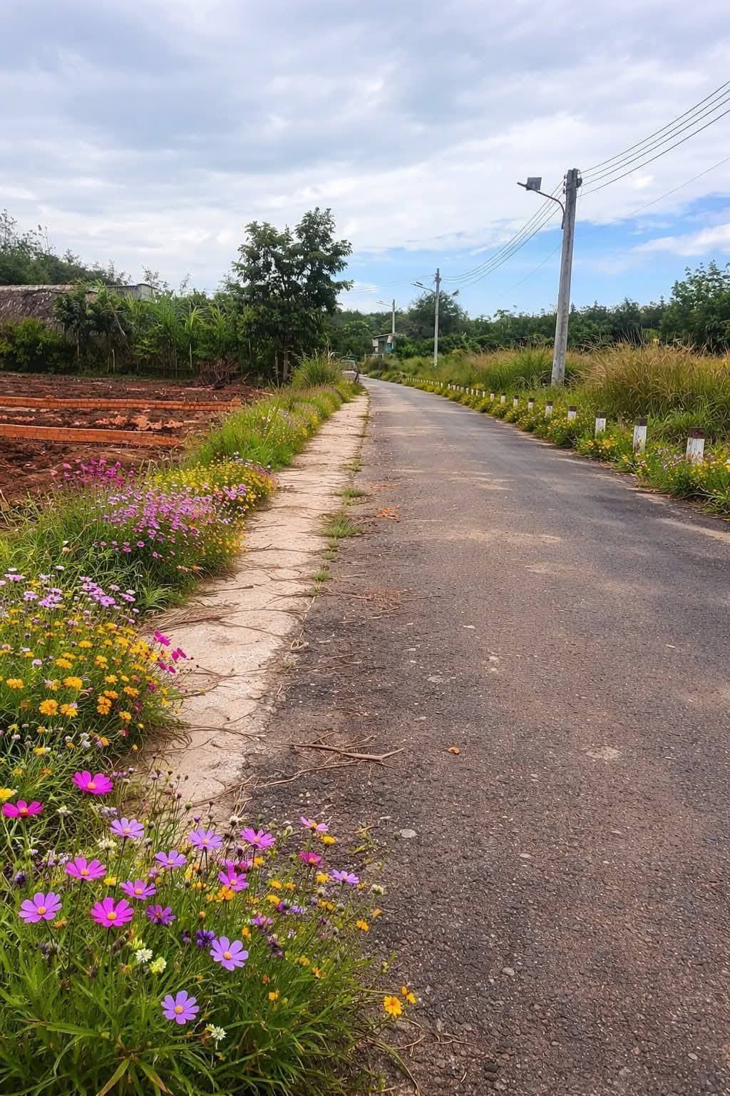 Bán đất H. Bàu Bàng, T. Bình Dương