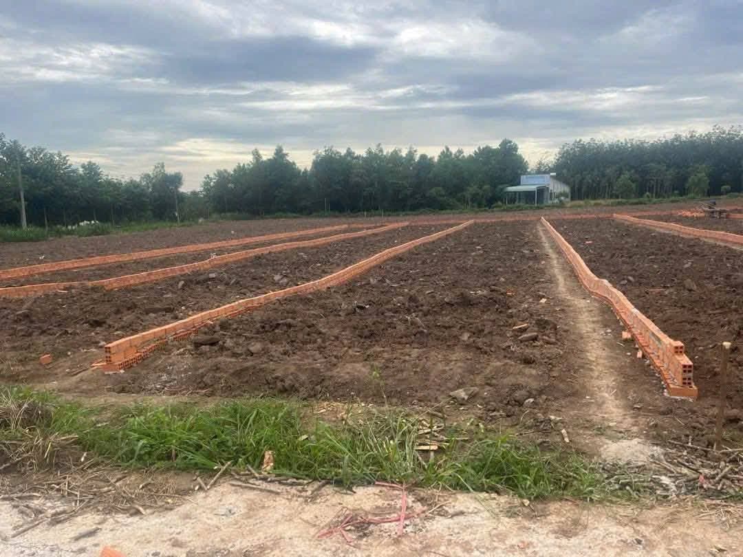 Bán đất H. Bàu Bàng, T. Bình Dương - Ảnh 2