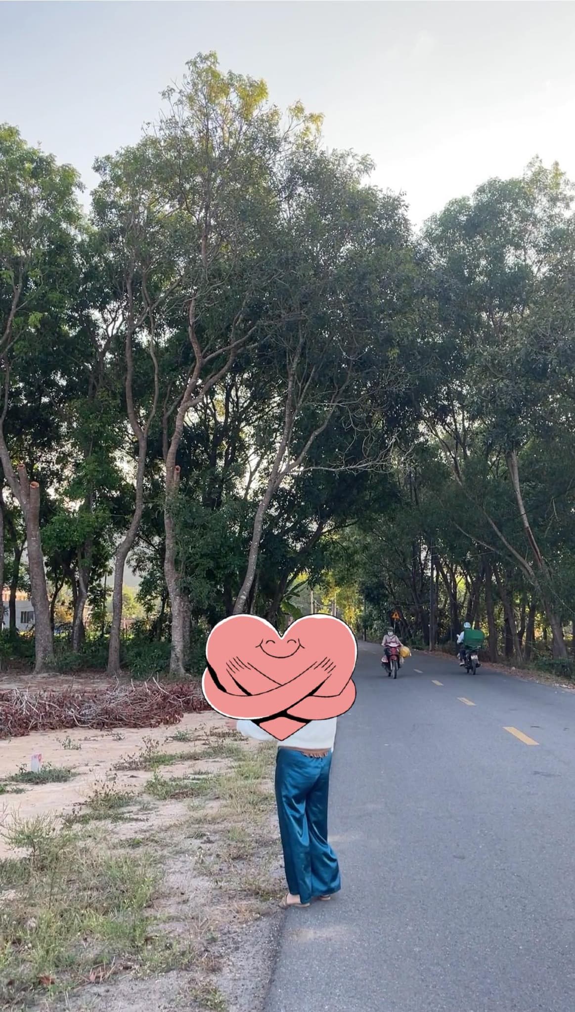 Bán đất Tt. Phước Hải, H. Đất Đỏ, T. Bà Rịa - Vũng Tàu - Ảnh 2