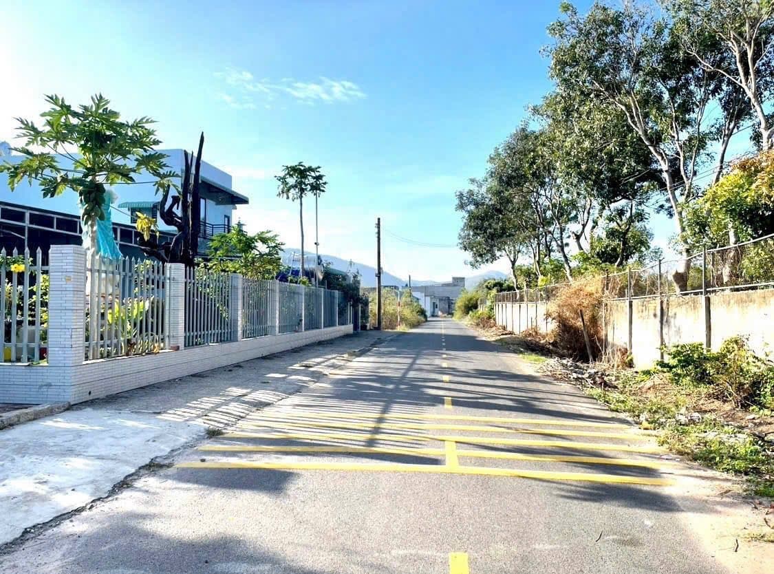 Bán đất Tt. Long Điền, H. Long Điền, T. Bà Rịa - Vũng Tàu - Ảnh 2