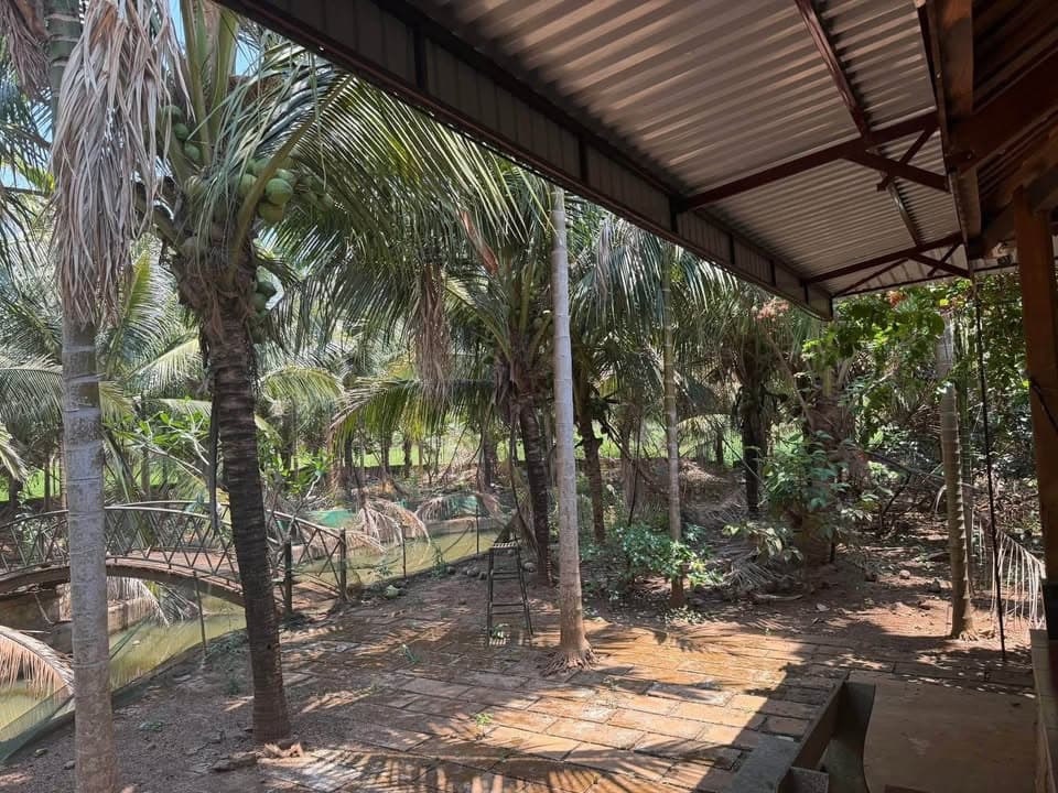 Bán đất Tt. Quảng Phú, H. Cư M'gar, T. Đắk Lắk - Ảnh 2