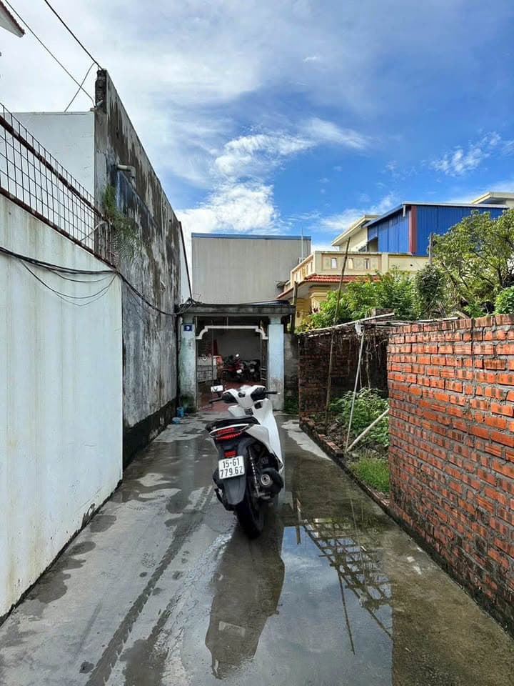 Bán đất H. An Dương, Tp. Hải Phòng - Ảnh 3
