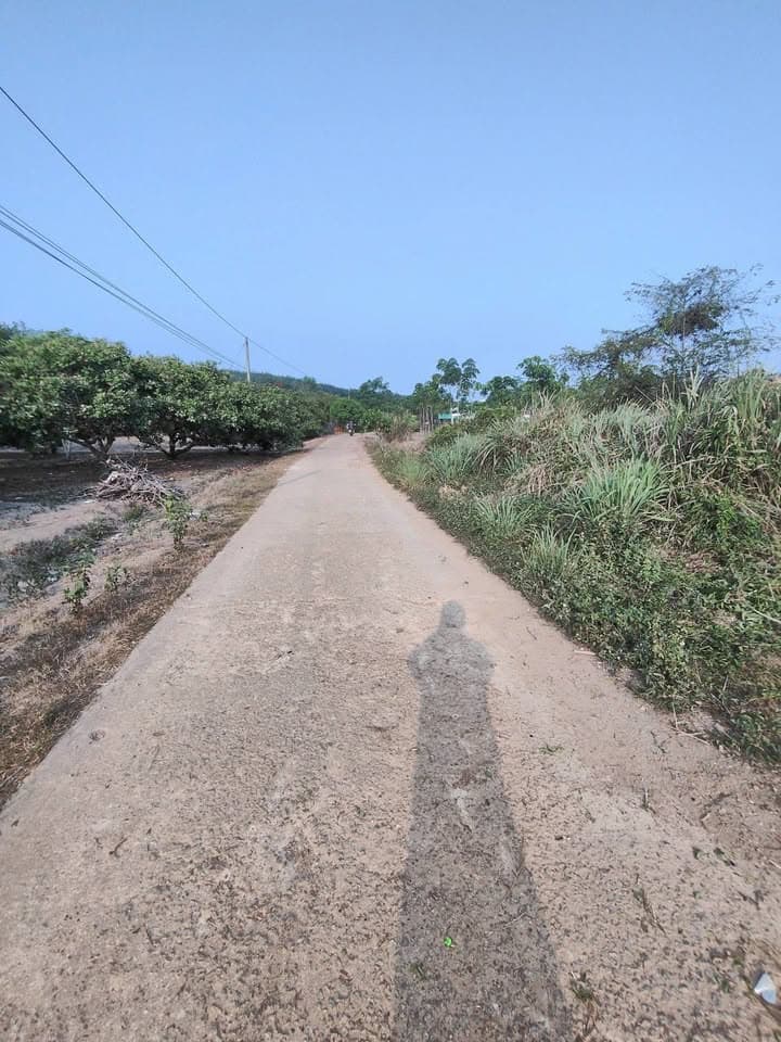 Bán đất X. Tân Lợi, H. Đồng Phú, T. Bình Phước - Ảnh 2