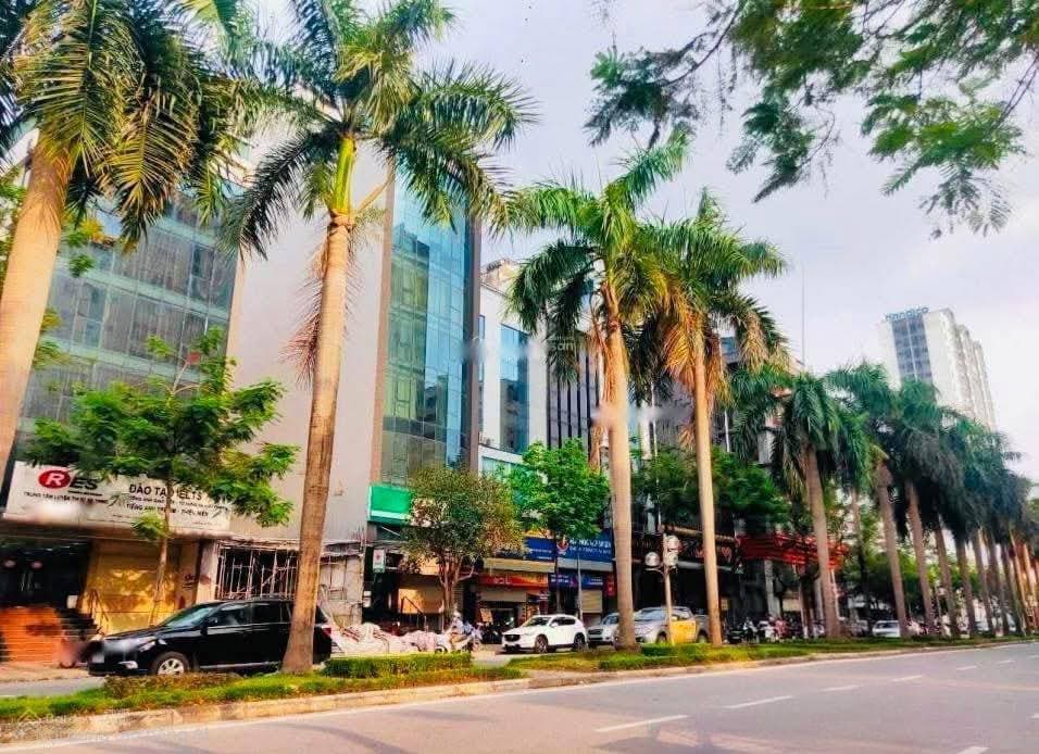 Bán nhà riêng Đ. Lê Đức Thọ, P. Mỹ Đình 1, Q. Nam Từ Liêm, Tp. Hà Nội