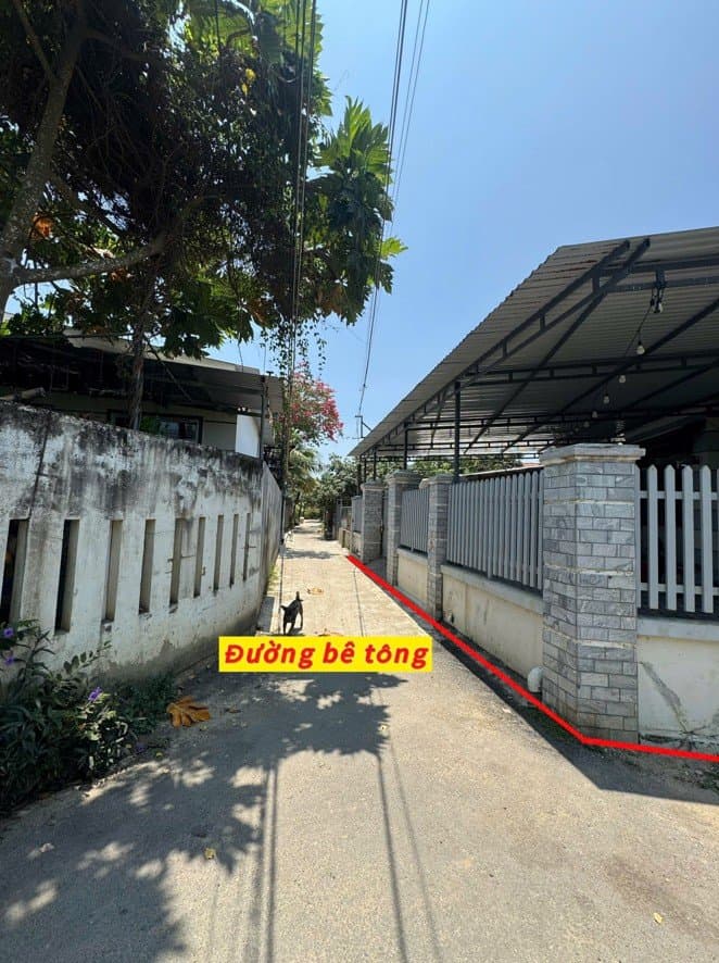 Bán đất X. Diên Điền, H. Diên Khánh, T. Khánh Hòa - Ảnh 3
