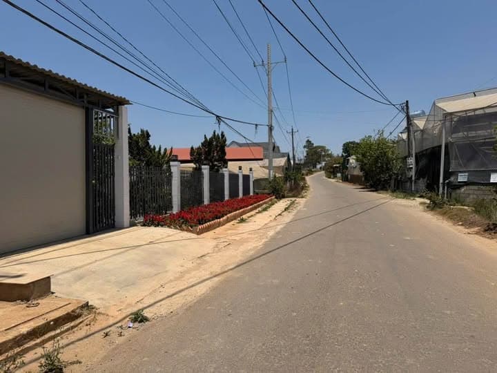Bán đất Đ. Nguyễn Hoàng, Tp. Đà Lạt, T. Lâm Đồng