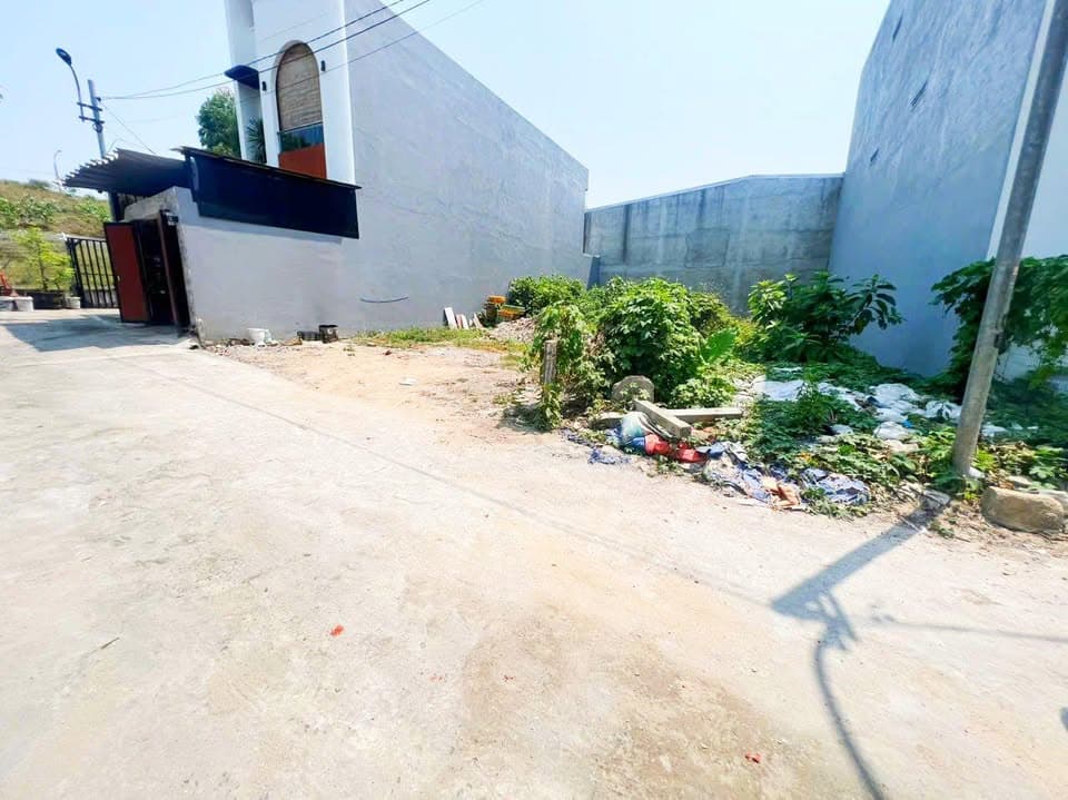 Bán đất Q. Cẩm Lệ, Tp. Đà Nẵng - Ảnh 3