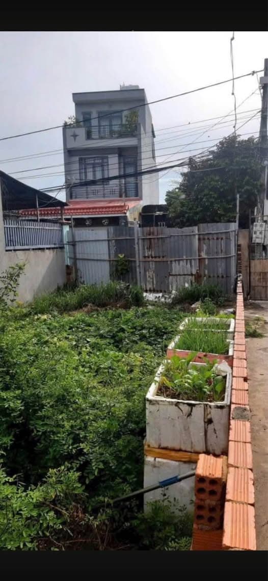 Bán đất Đ. Hàn Thuyên, P. Rạch Dừa, Tp. Vũng Tàu, T. Bà Rịa - Vũng Tàu