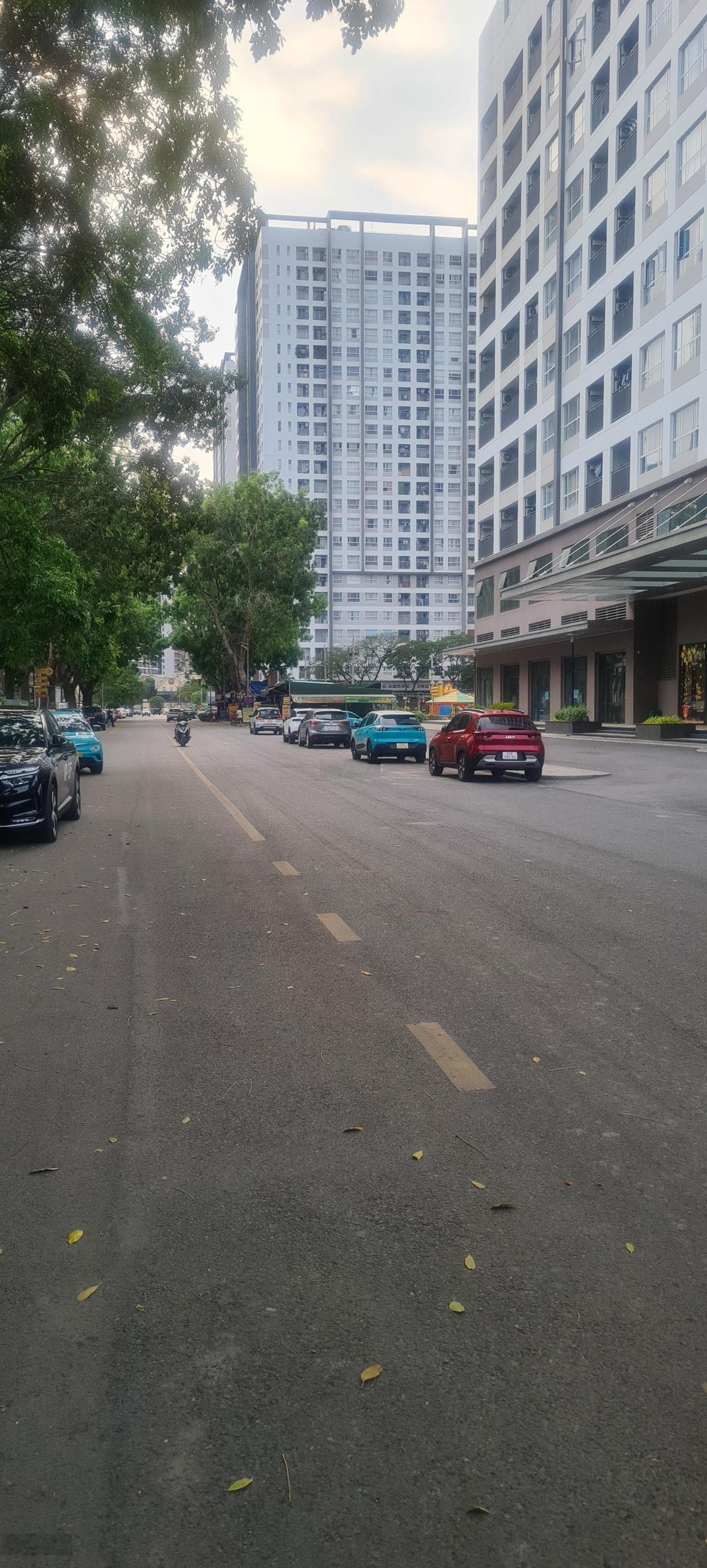 Bán đất Đ. Huỳnh Tấn Phát, H. Nhà Bè, Tp. Hồ Chí Minh - Ảnh 2