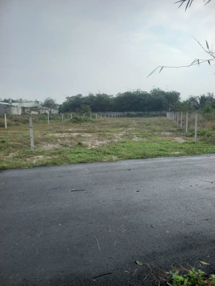 Bán đất X. Lộc An, H. Long Thành, T. Đồng Nai - Ảnh 2