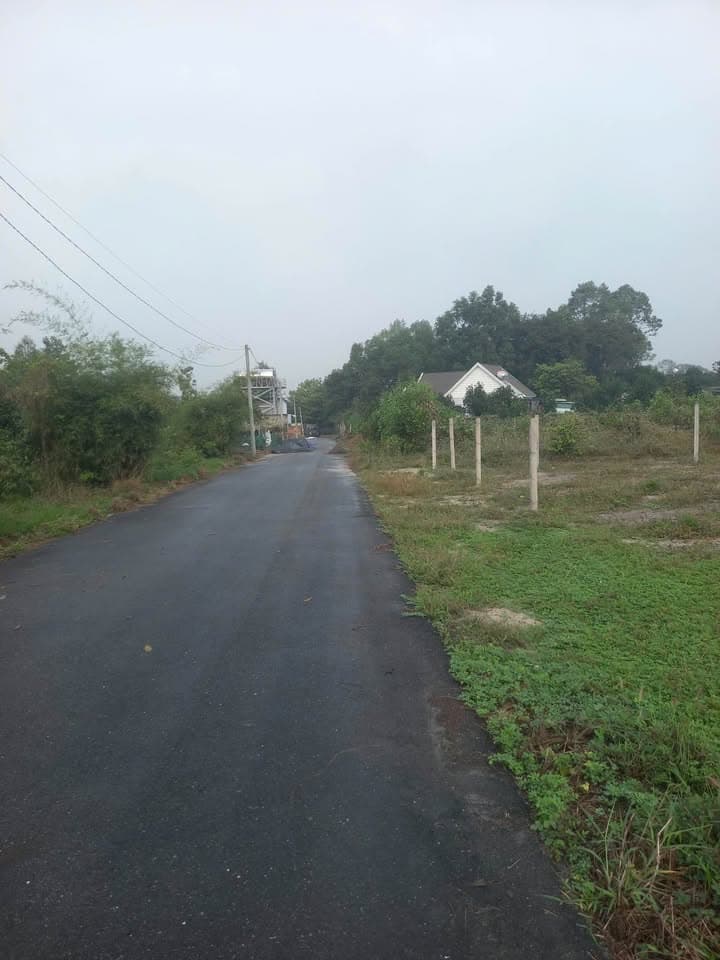 Bán đất X. Lộc An, H. Long Thành, T. Đồng Nai - Ảnh 3