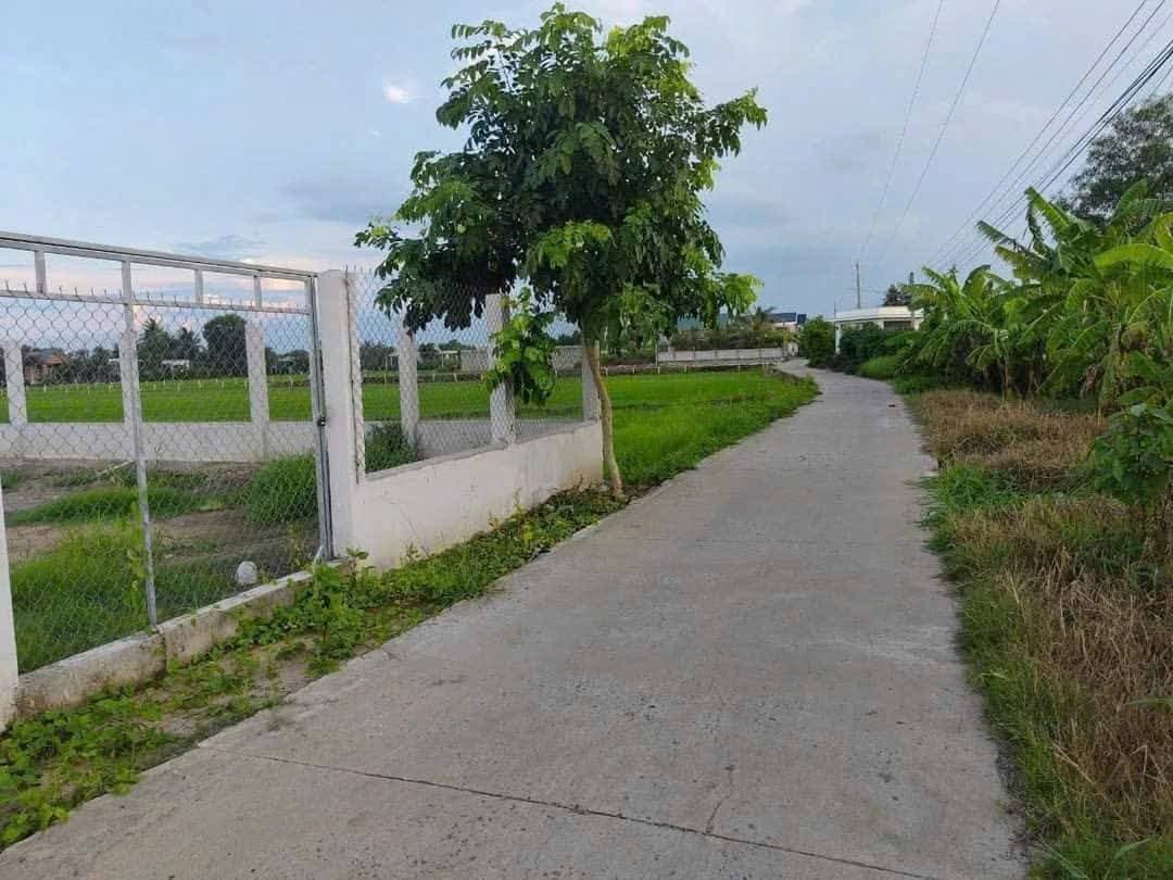 Bán đất X. Long Cang, H. Cần Đước, T. Long An