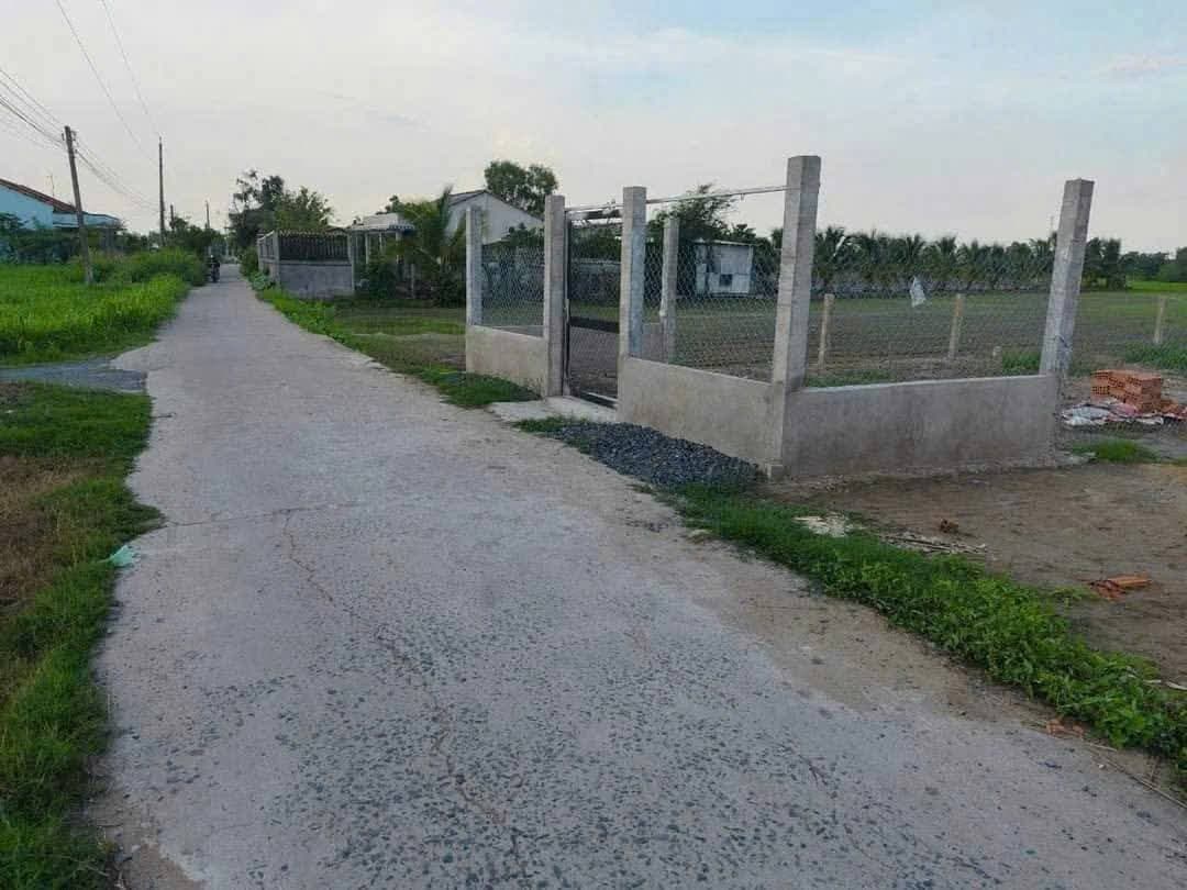 Bán đất X. Long Cang, H. Cần Đước, T. Long An - Ảnh 2