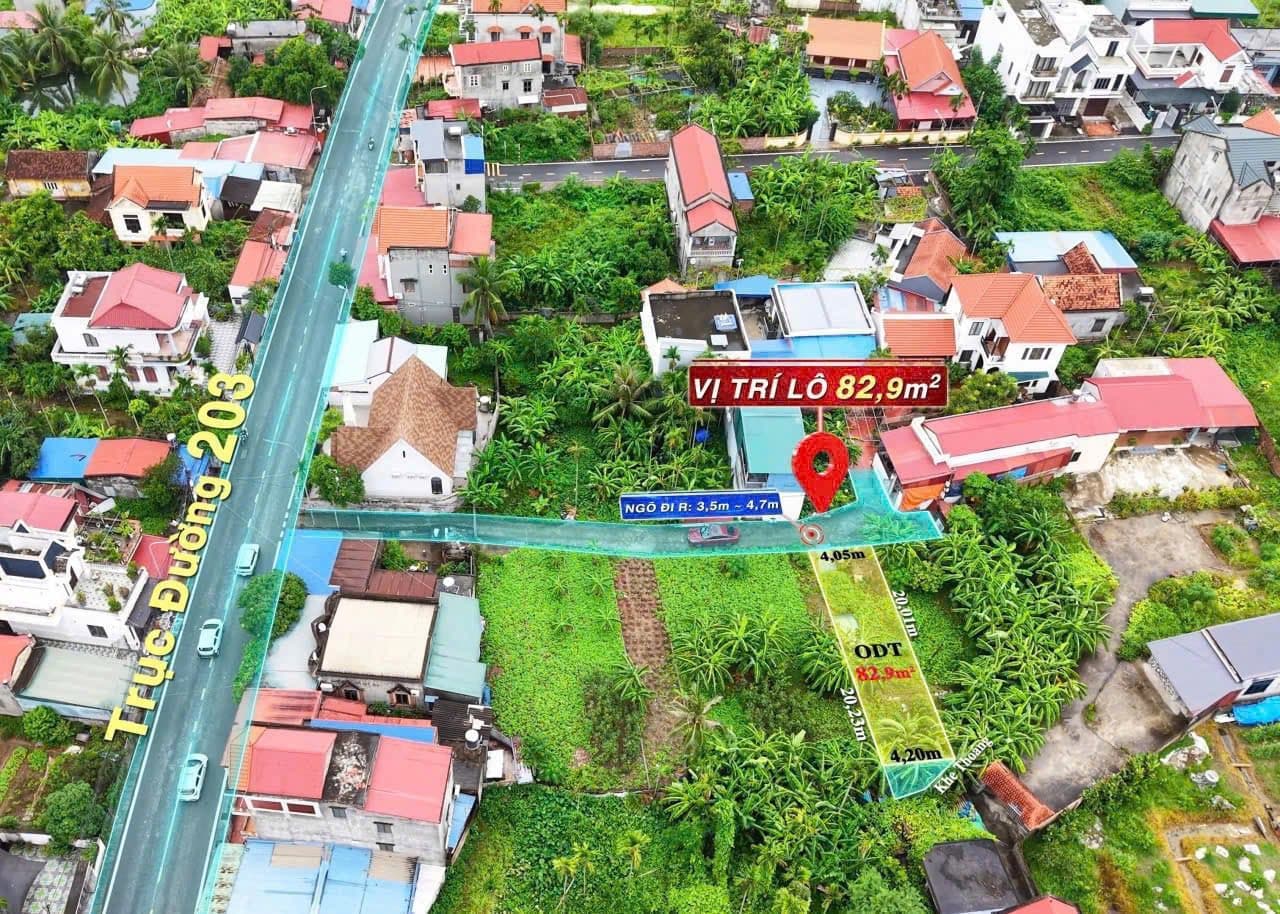 Bán đất X. Lâm Động, H. Thủy Nguyên, Tp. Hải Phòng - Ảnh 2