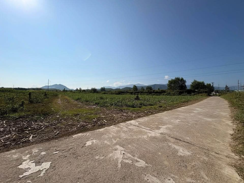 Bán kho, nhà xưởng X. Phước Đồng, Tp. Nha Trang, T. Khánh Hòa - Ảnh 3