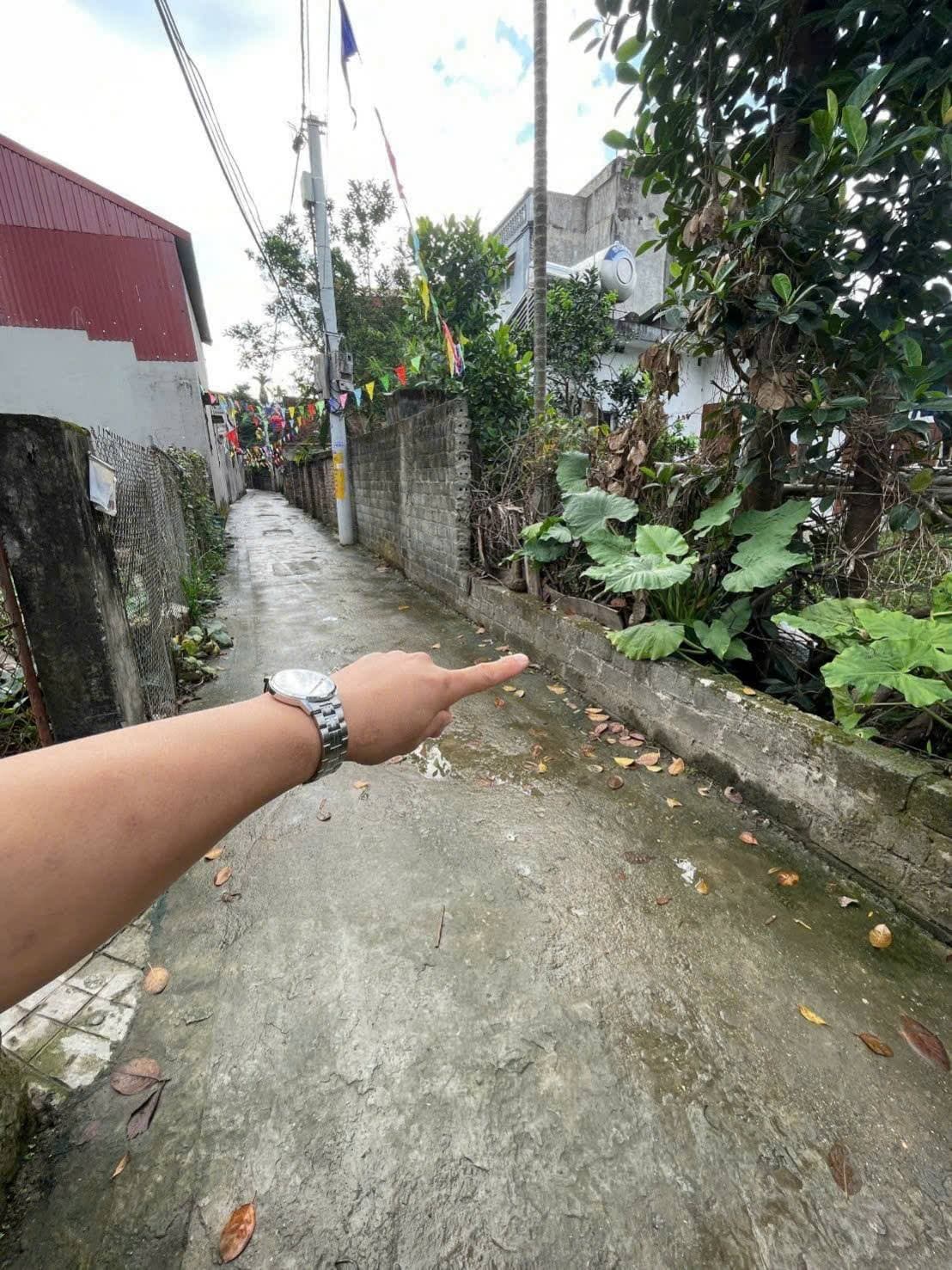 Bán đất X. Liên Bạt, H. Ứng Hòa, Tp. Hà Nội - Ảnh 2