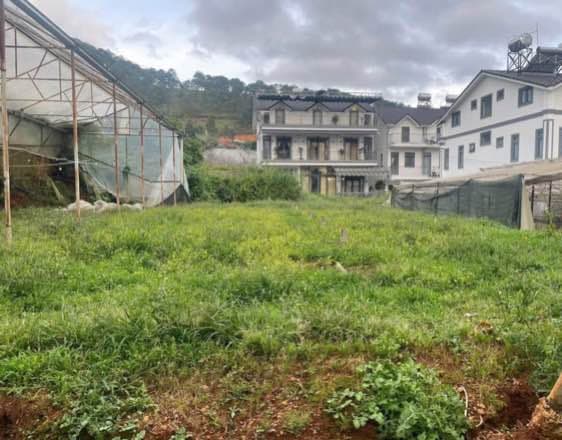 Bán đất Đ. Nguyễn Hữu Cảnh, Tp. Đà Lạt, T. Lâm Đồng - Ảnh 2