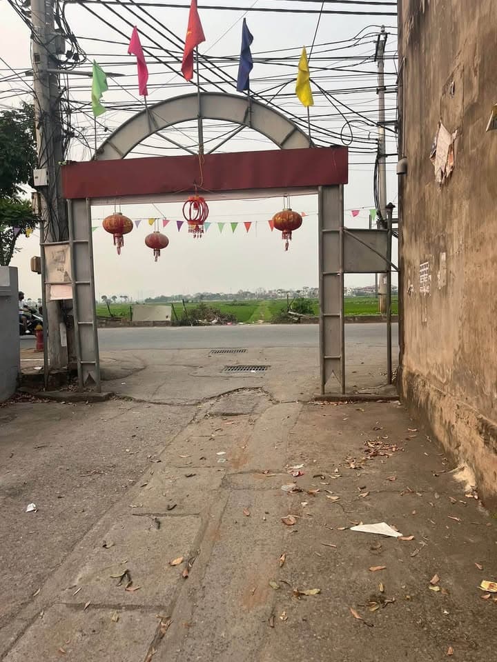 Bán đất X. Ngọc Hồi, H. Thanh Trì, Tp. Hà Nội - Ảnh 2