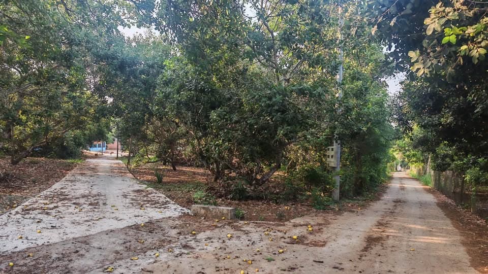 Bán đất X. Láng Lớn, H. Châu Đức, T. Bà Rịa - Vũng Tàu - Ảnh 3