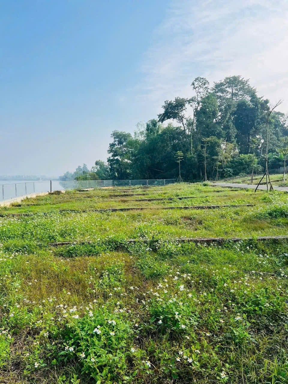 Bán đất X. Phú Cát, H. Quốc Oai, Tp. Hà Nội - Ảnh 3