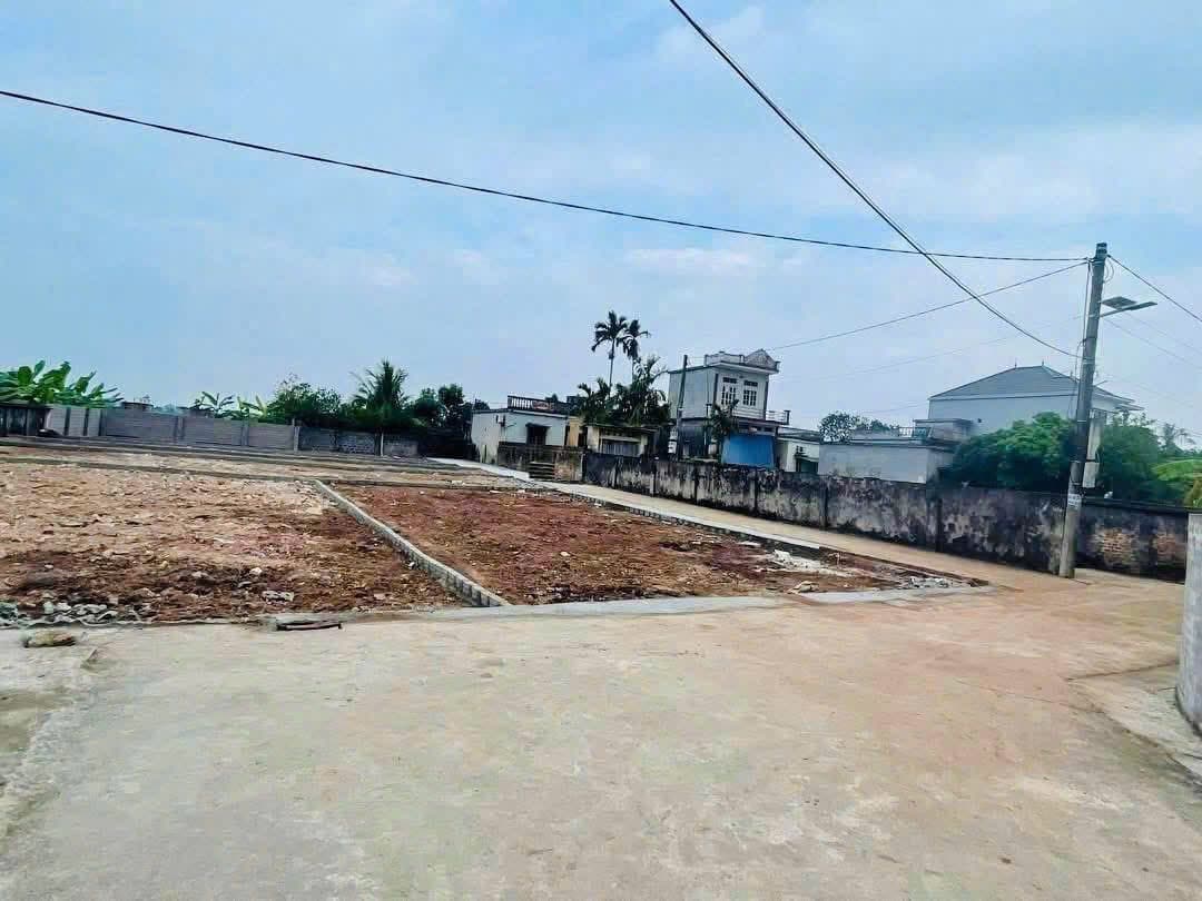 Bán đất X. Hòa Bình, H. Kiến Xương, T. Thái Bình