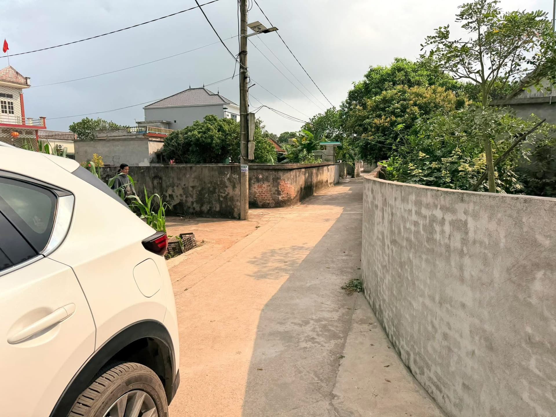 Bán đất X. Hòa Bình, H. Kiến Xương, T. Thái Bình - Ảnh 3