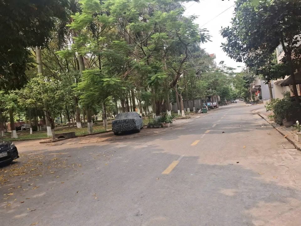 Bán đất Đ. Nguyễn Đức Cảnh, P. Kinh Bắc, Tp. Bắc Ninh, T. Bắc Ninh - Ảnh 3