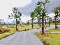 Cho thuê nhà riêng P. Mỹ Phước, Tx. Bến Cát, T. Bình Dương - Ảnh 3