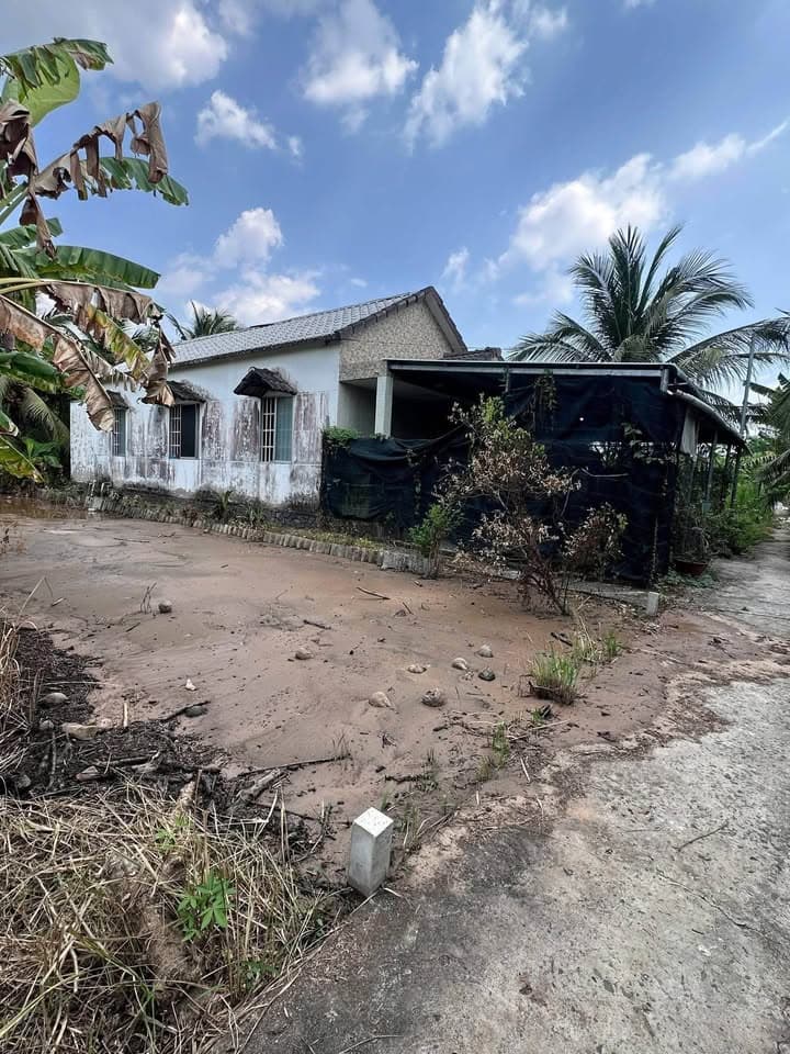 Bán đất P. Phú Tân, Tp. Bến Tre, T. Bến Tre - Ảnh 2