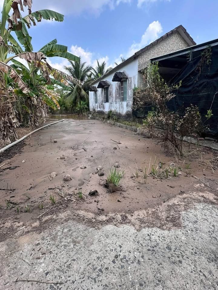 Bán đất P. Phú Tân, Tp. Bến Tre, T. Bến Tre - Ảnh 3