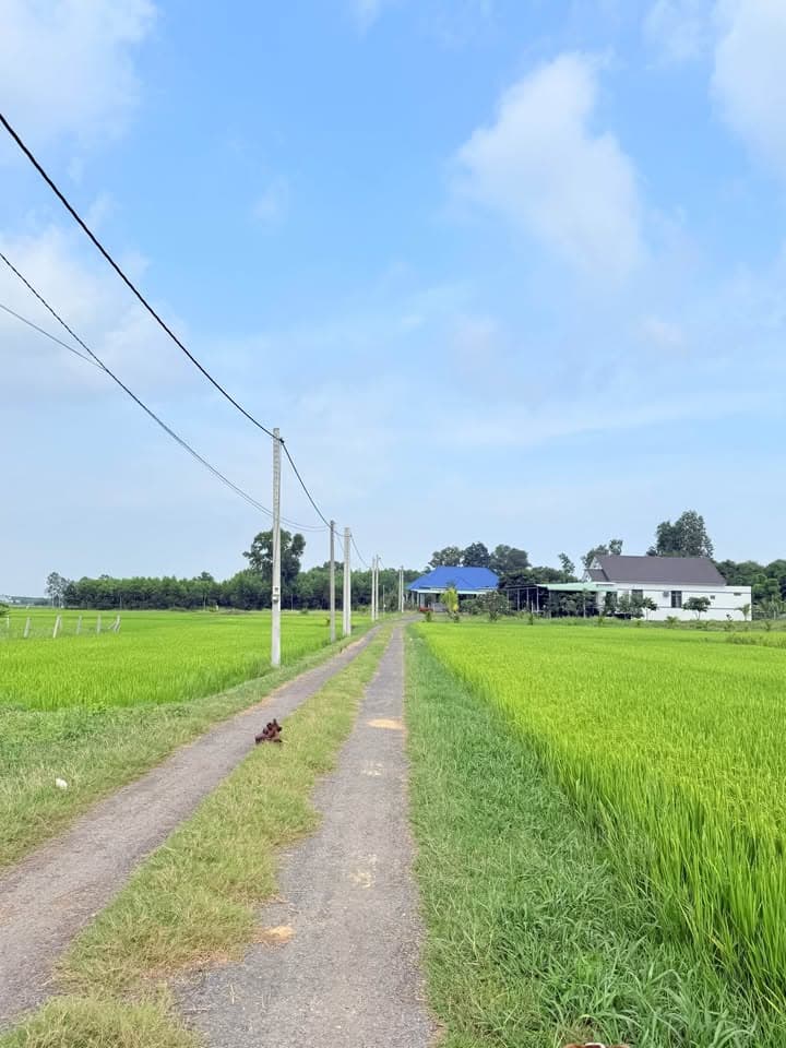 Bán đất X. Phước Long Thọ, H. Đất Đỏ, T. Bà Rịa - Vũng Tàu