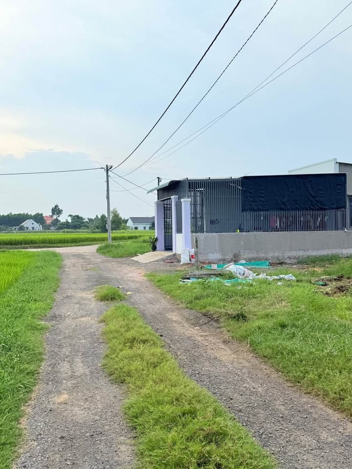 Bán đất X. Phước Long Thọ, H. Đất Đỏ, T. Bà Rịa - Vũng Tàu - Ảnh 2