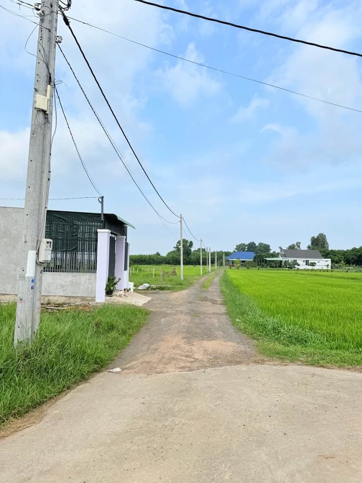 Bán đất X. Phước Long Thọ, H. Đất Đỏ, T. Bà Rịa - Vũng Tàu - Ảnh 3