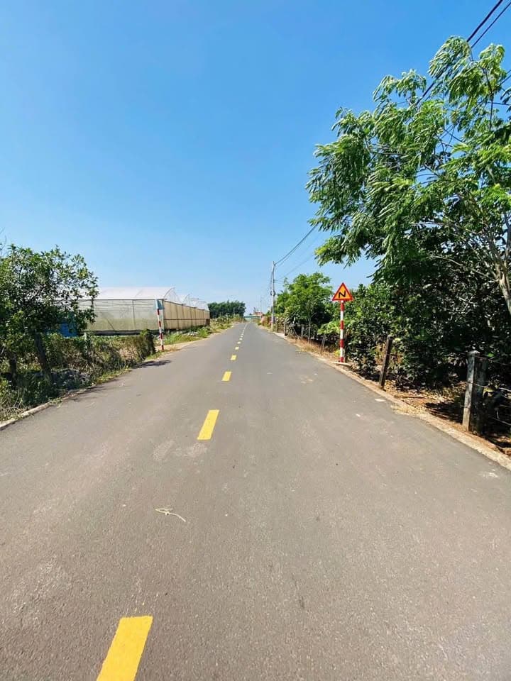 Bán đất Đ. Đoàn Trung Còn, H. Đất Đỏ, T. Bà Rịa - Vũng Tàu