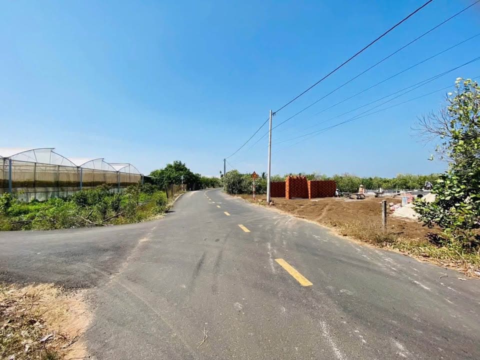 Bán đất Đ. Đoàn Trung Còn, H. Đất Đỏ, T. Bà Rịa - Vũng Tàu - Ảnh 2