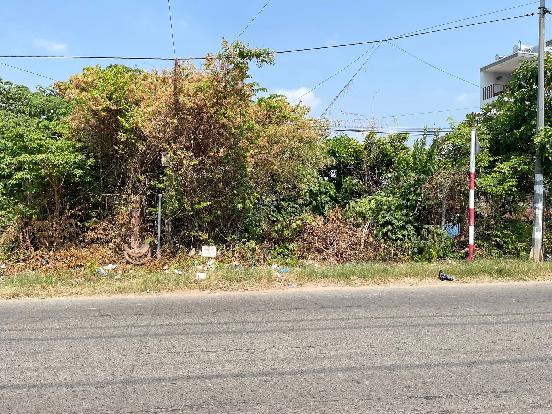 Bán đất Đ. Tân An, Tp. Dĩ An, T. Bình Dương - Ảnh 2