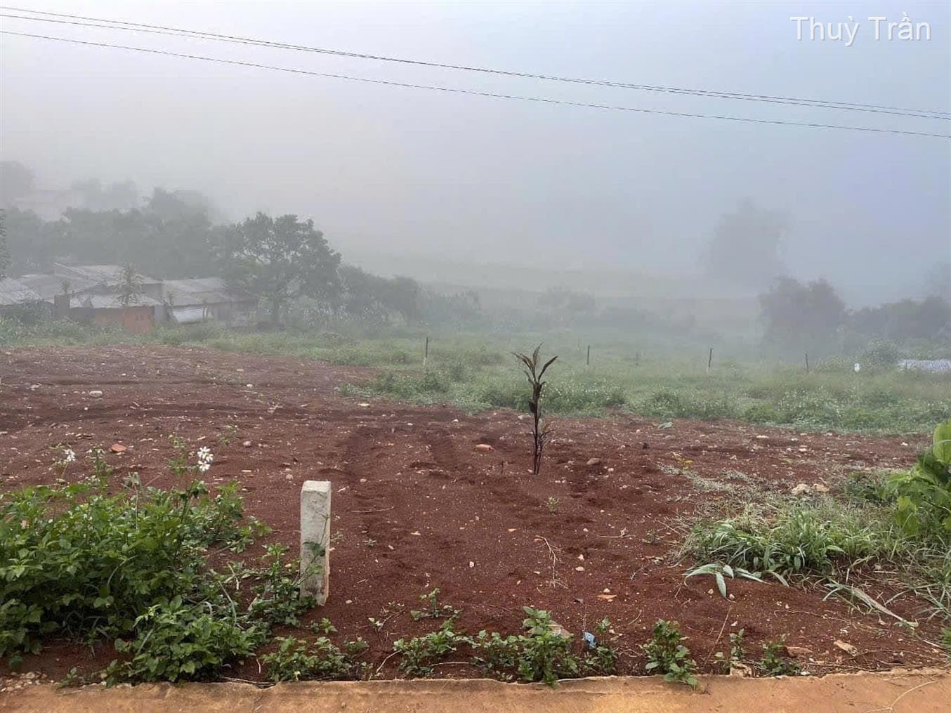 Bán đất X. Quảng Lập, H. Đơn Dương, T. Lâm Đồng - Ảnh 2