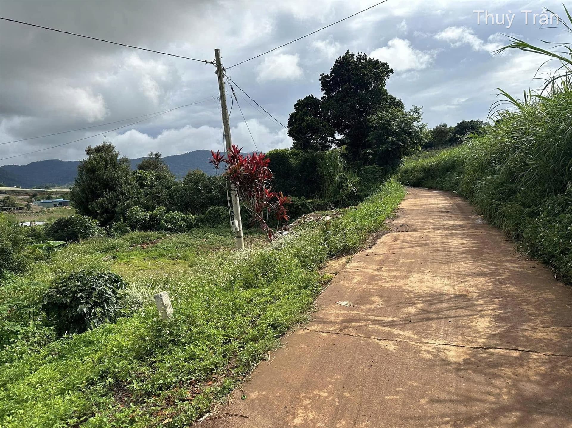 Bán đất X. Quảng Lập, H. Đơn Dương, T. Lâm Đồng - Ảnh 3
