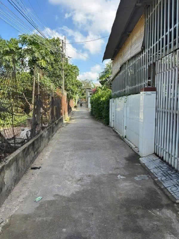 Bán đất Đ. Nguyễn Văn Cừ, H. Long Thành, T. Đồng Nai - Ảnh 3