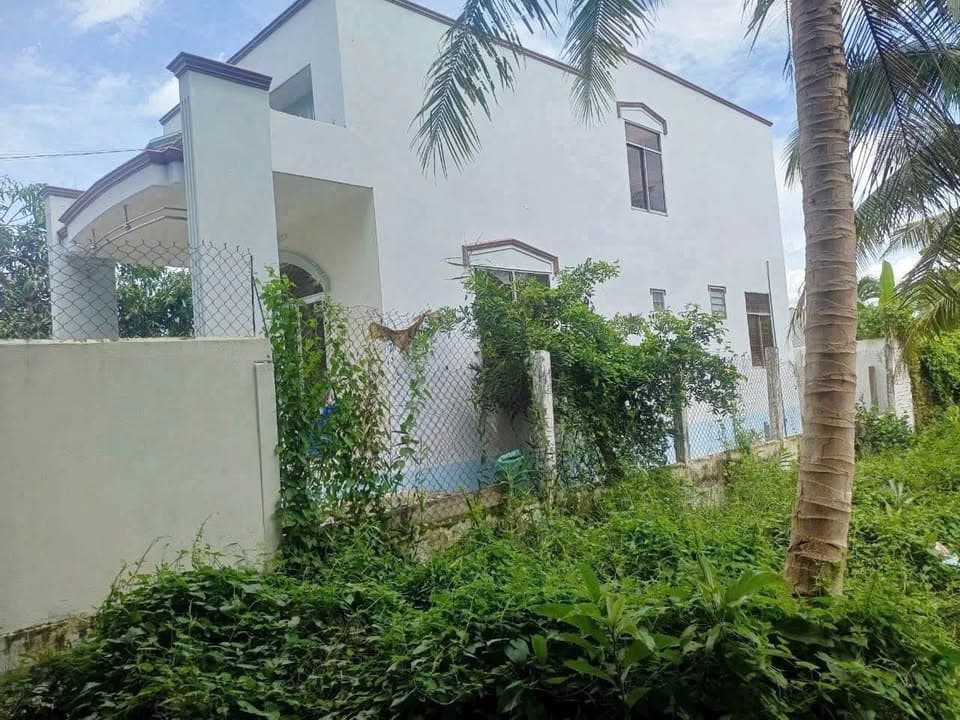 Bán nhà riêng X. Phú Hưng, Tp. Bến Tre, T. Bến Tre - Ảnh 3