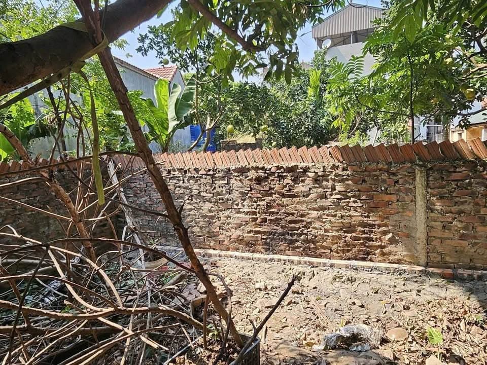 Bán đất X. Đồng Than, H. Yên Mỹ, T. Hưng Yên - Ảnh 3