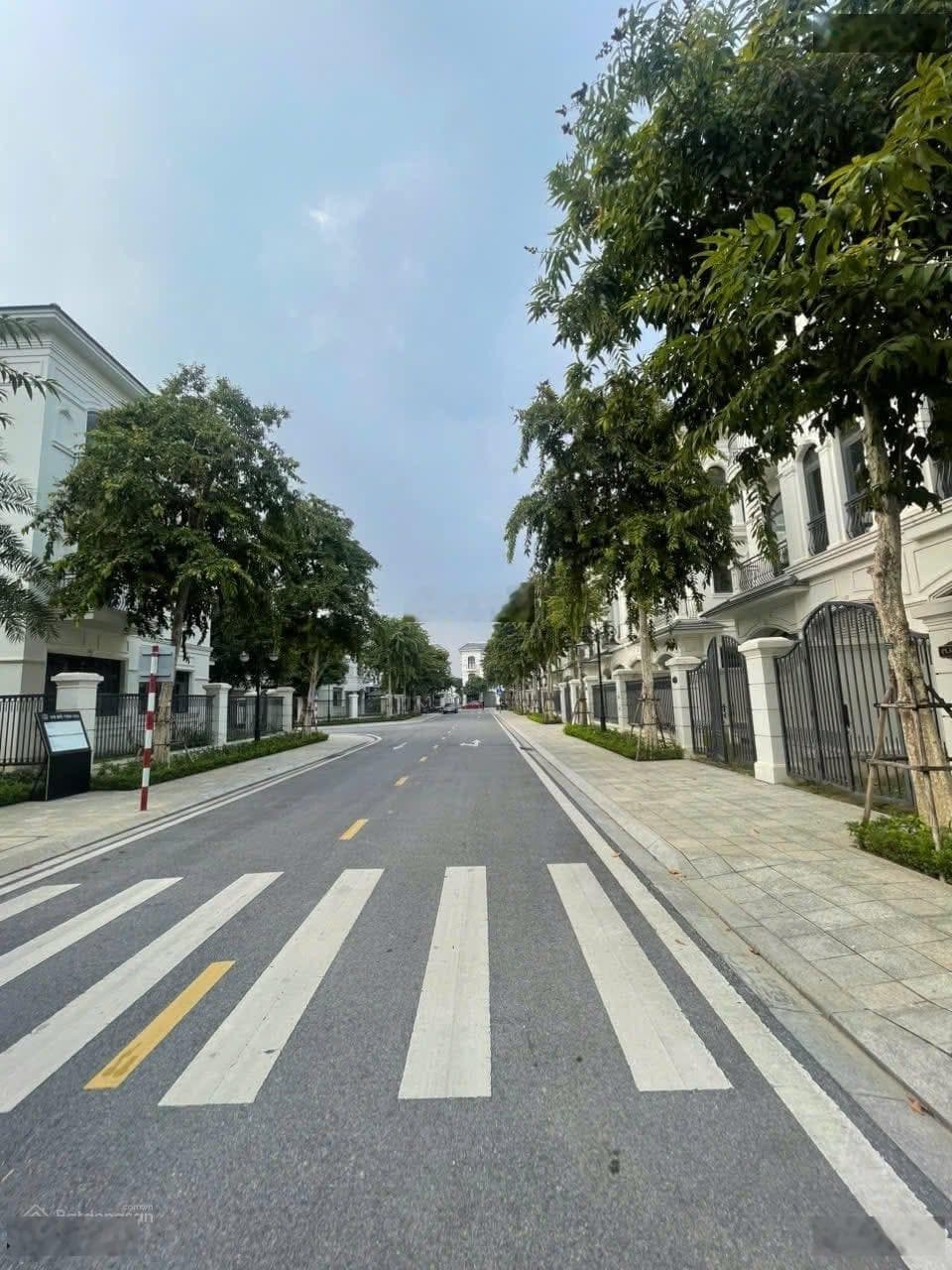 Bán biệt thự liền kề Đ. Lê Lợi, Tp. Thanh Hóa, T. Thanh Hóa - Ảnh 3