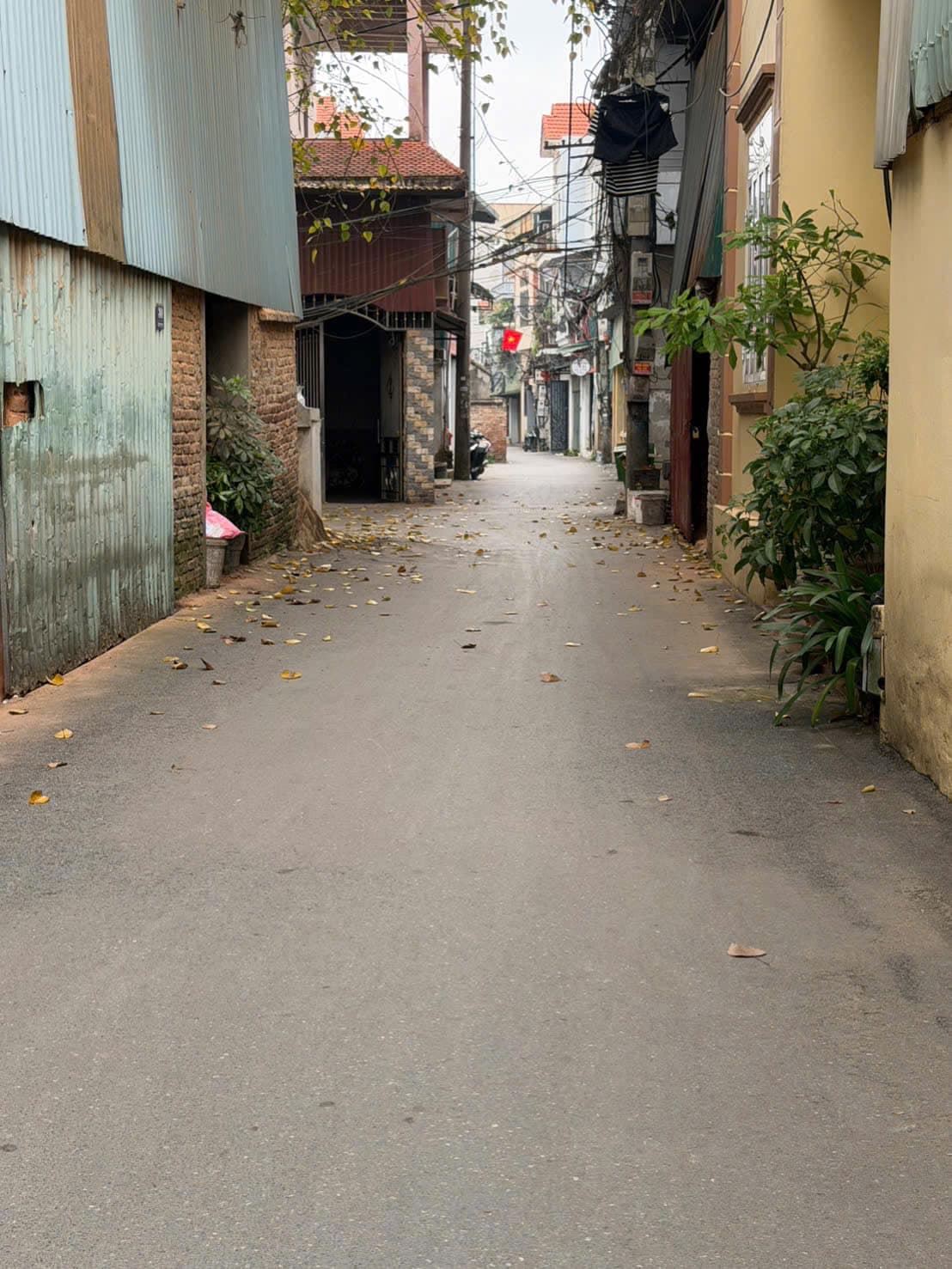 Bán nhà riêng X. Đặng Xá, H. Gia Lâm, Tp. Hà Nội - Ảnh 2