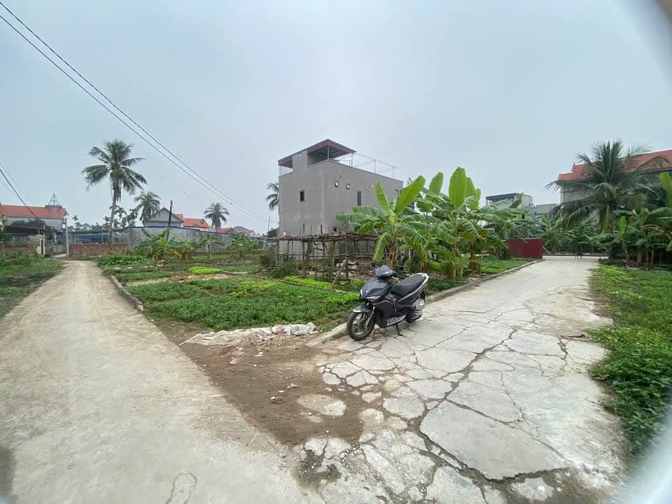 Bán đất Đ. Liên Phường, Q. Kiến An, Tp. Hải Phòng - Ảnh 3