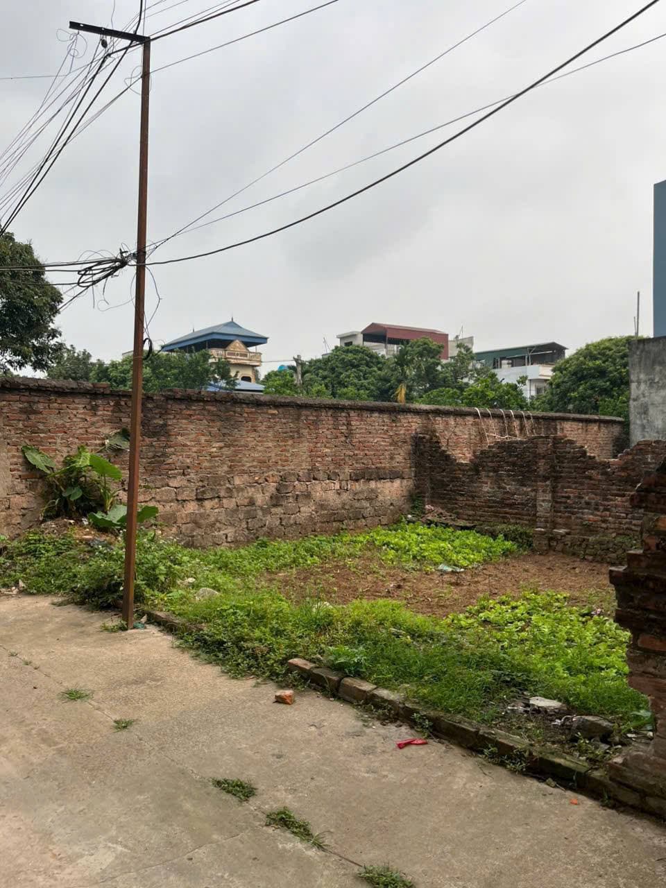 Bán nhà riêng X. Phụng Châu, H. Chương Mỹ, Tp. Hà Nội - Ảnh 3