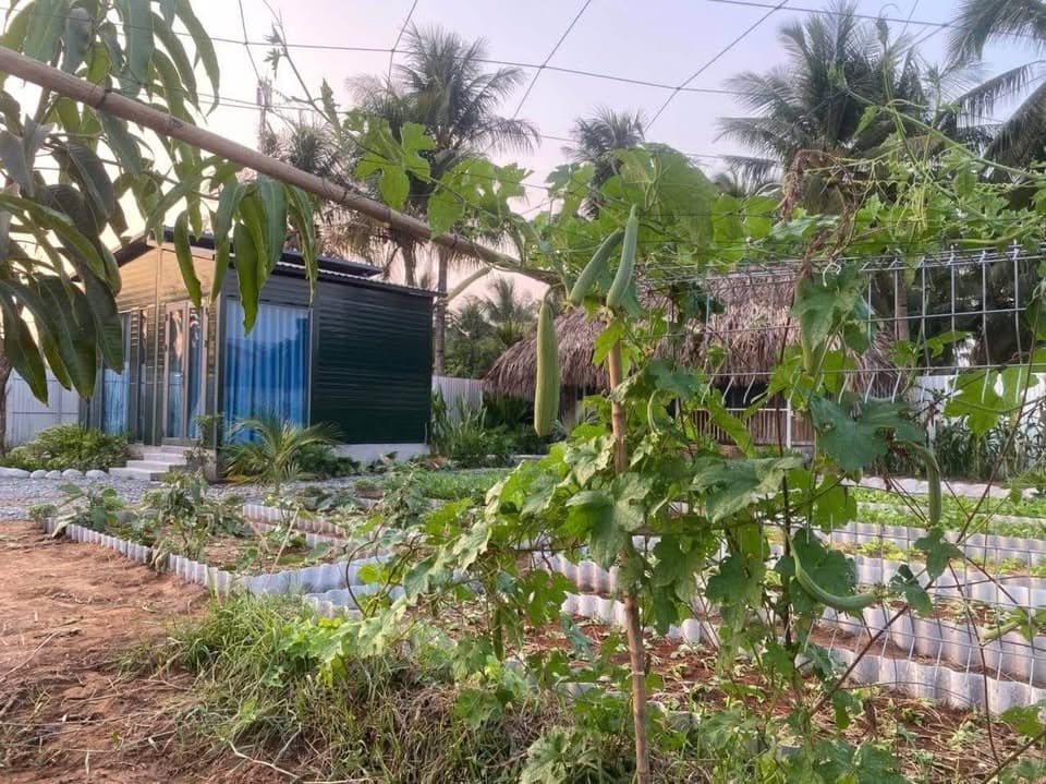 Bán nhà riêng X. Giao Long, H. Châu Thành, T. Bến Tre