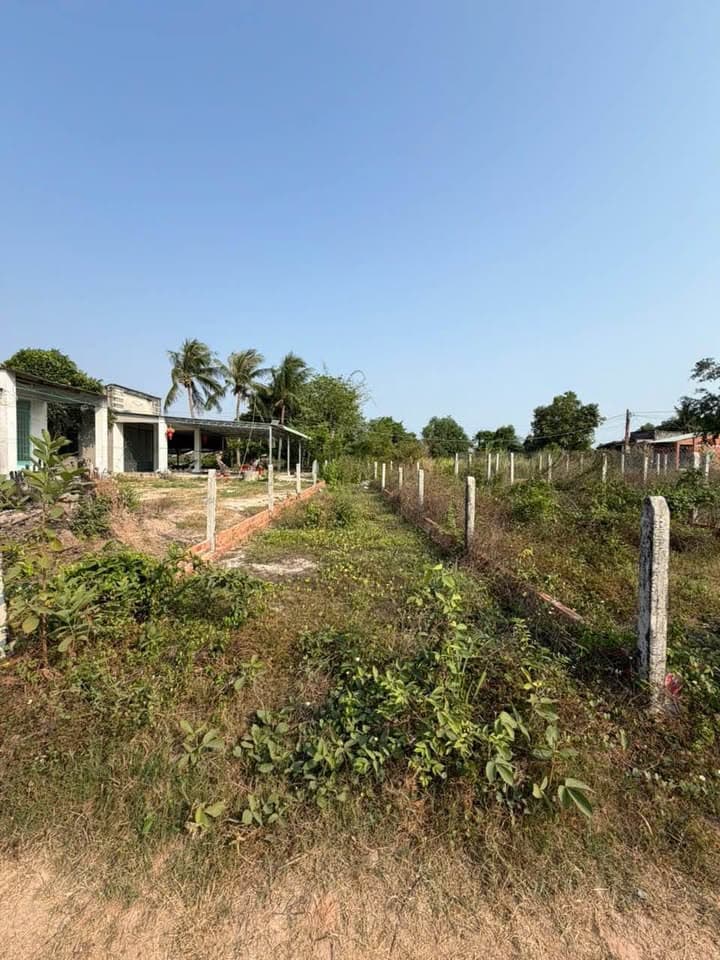 Bán đất X. Hảo Đước, H. Châu Thành, T. Tây Ninh - Ảnh 2