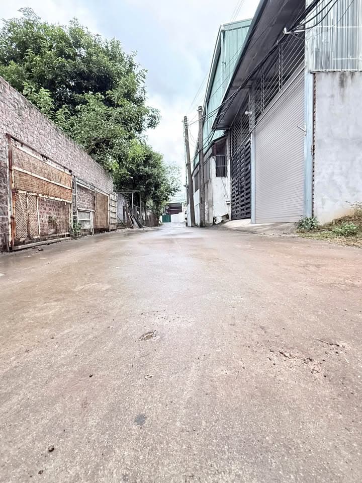 Bán nhà riêng P. Liên Bảo, Tp. Vĩnh Yên, T. Vĩnh Phúc - Ảnh 2