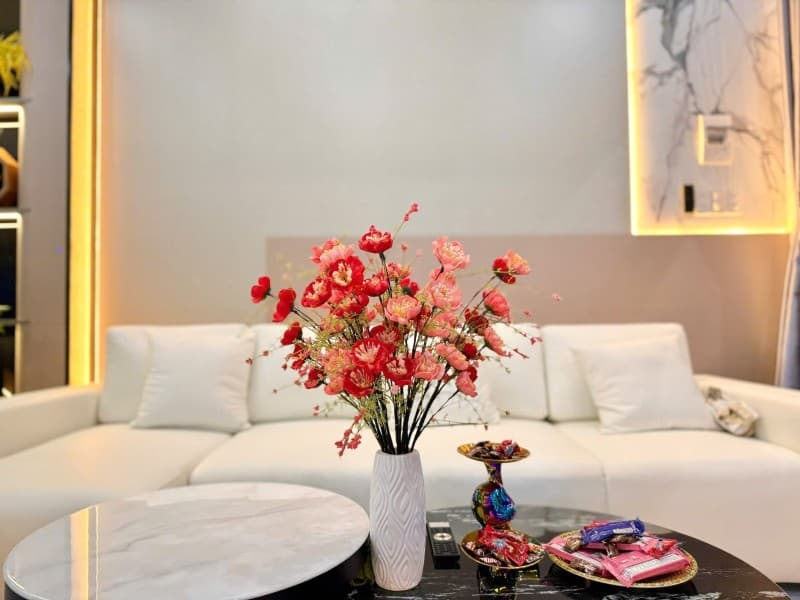 Cho thuê nhà riêng X. Cẩm Thanh, Tp. Hội An, T. Quảng Nam - Ảnh 3